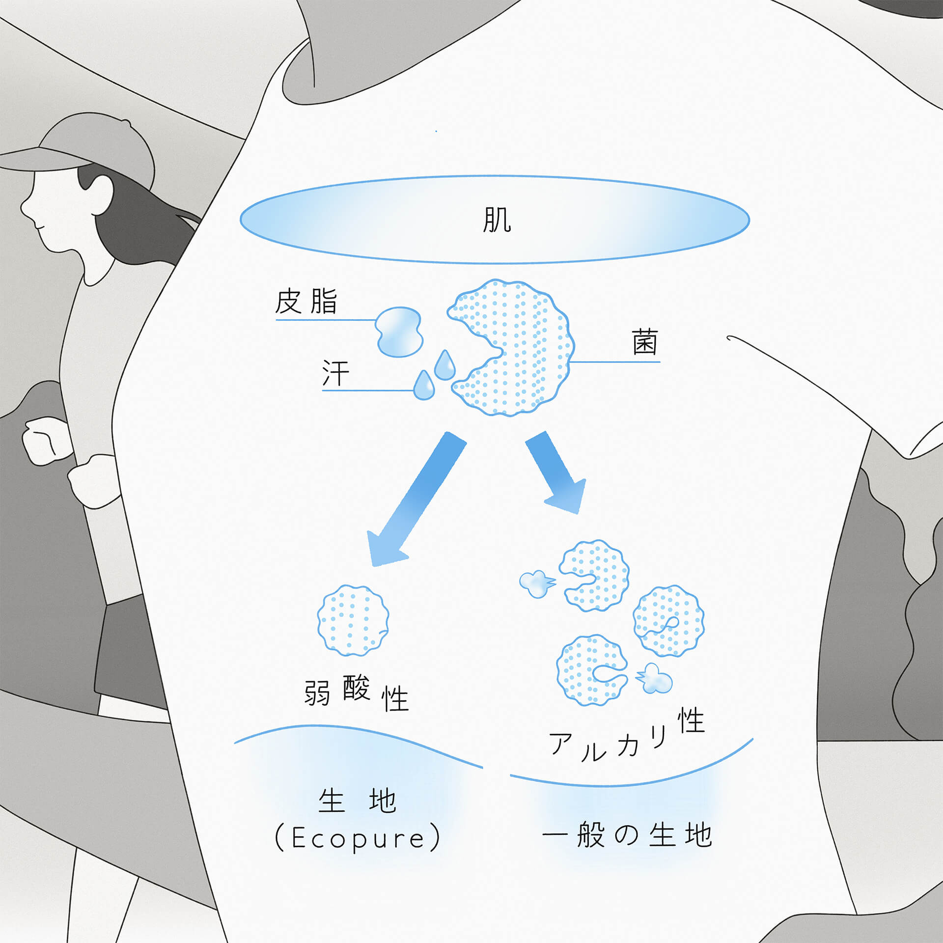 ⽣地表⾯を菌が繁殖しにくい弱酸性に保つ Ecopure®
