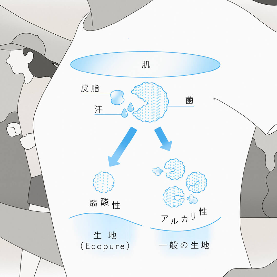 ⽣地表⾯を菌が繁殖しにくい弱酸性に保つ Ecopure®