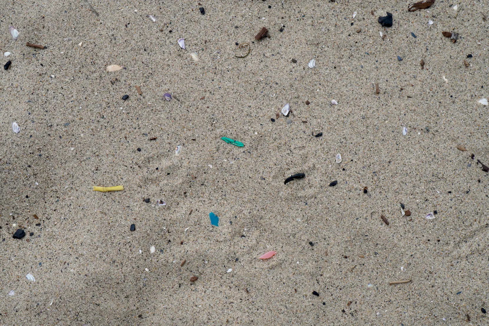 砂浜に散乱する小さなプラスチックごみ